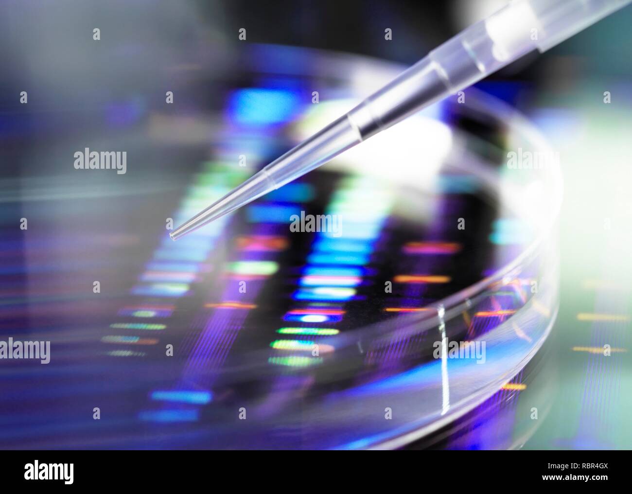 Wissenschaftler Pipettieren eine DNA (Desoxyribonukleinsäure) Probe in eine Petrischale mit ein DNA-Profil im Hintergrund. Stockfoto