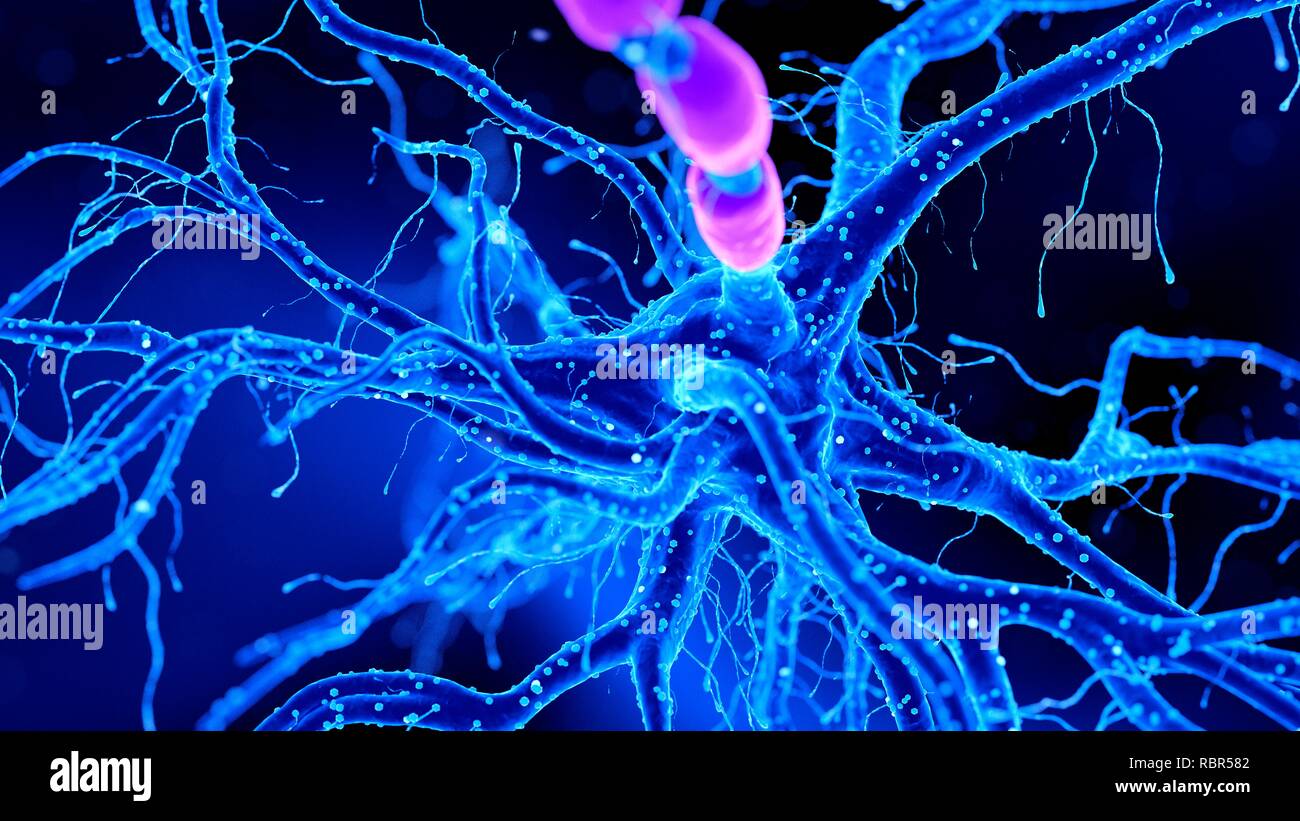 Abbildung einer Nervenzelle. Stockfoto