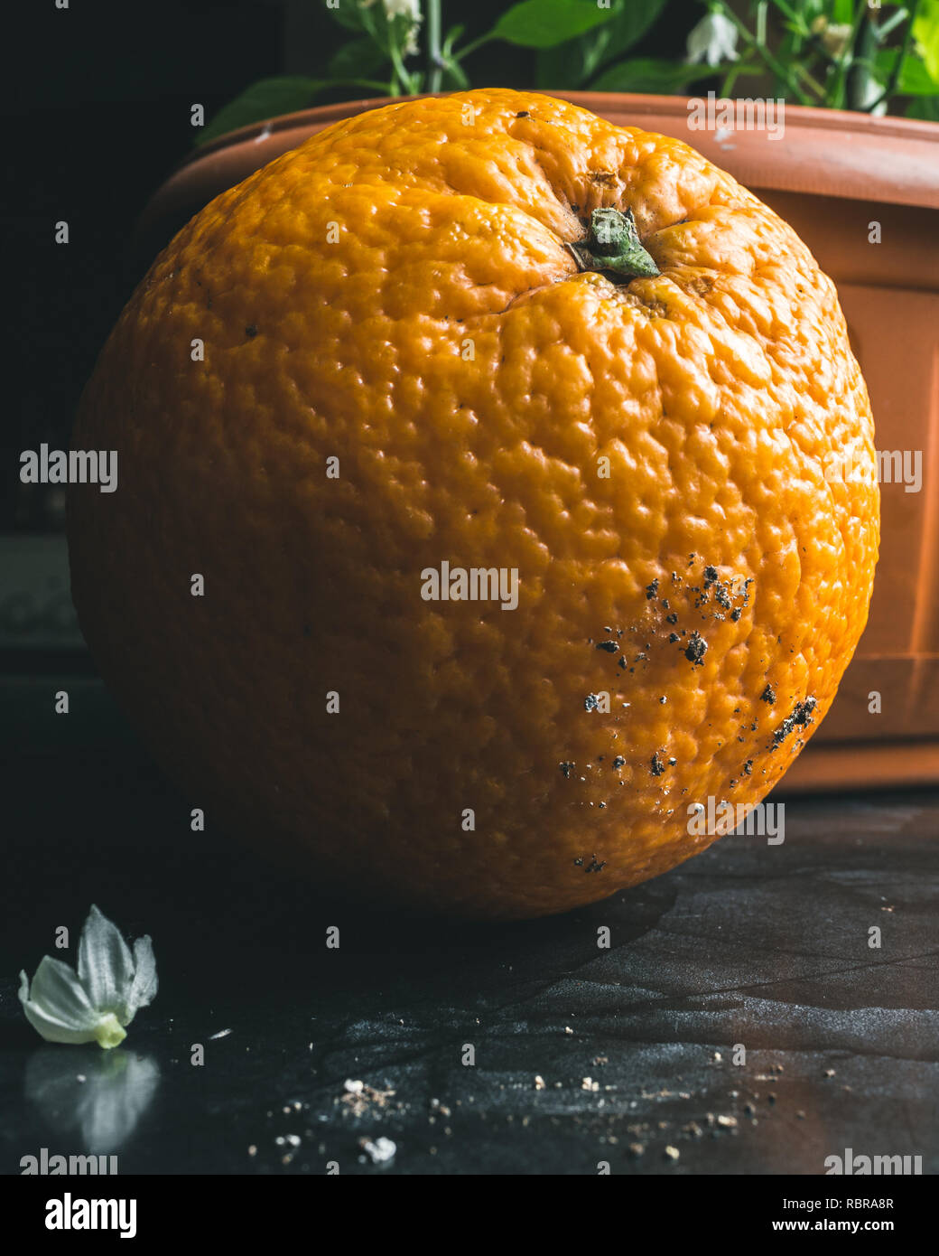 Orange mit Asche auf es Stockfoto