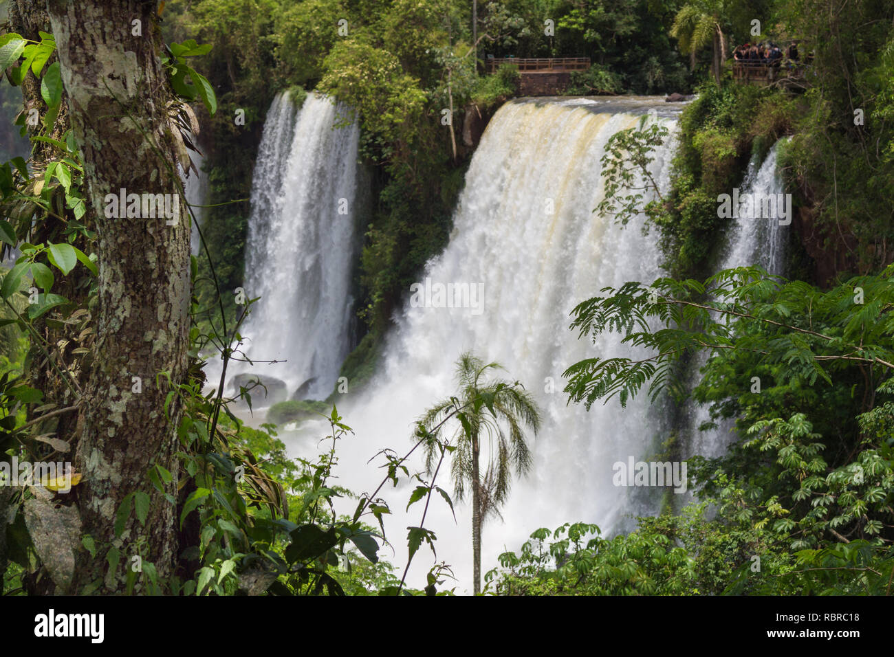 Die Iguazu Wasserfälle in Brasilien und Argentinien. Fluss Iguazu Stockfoto