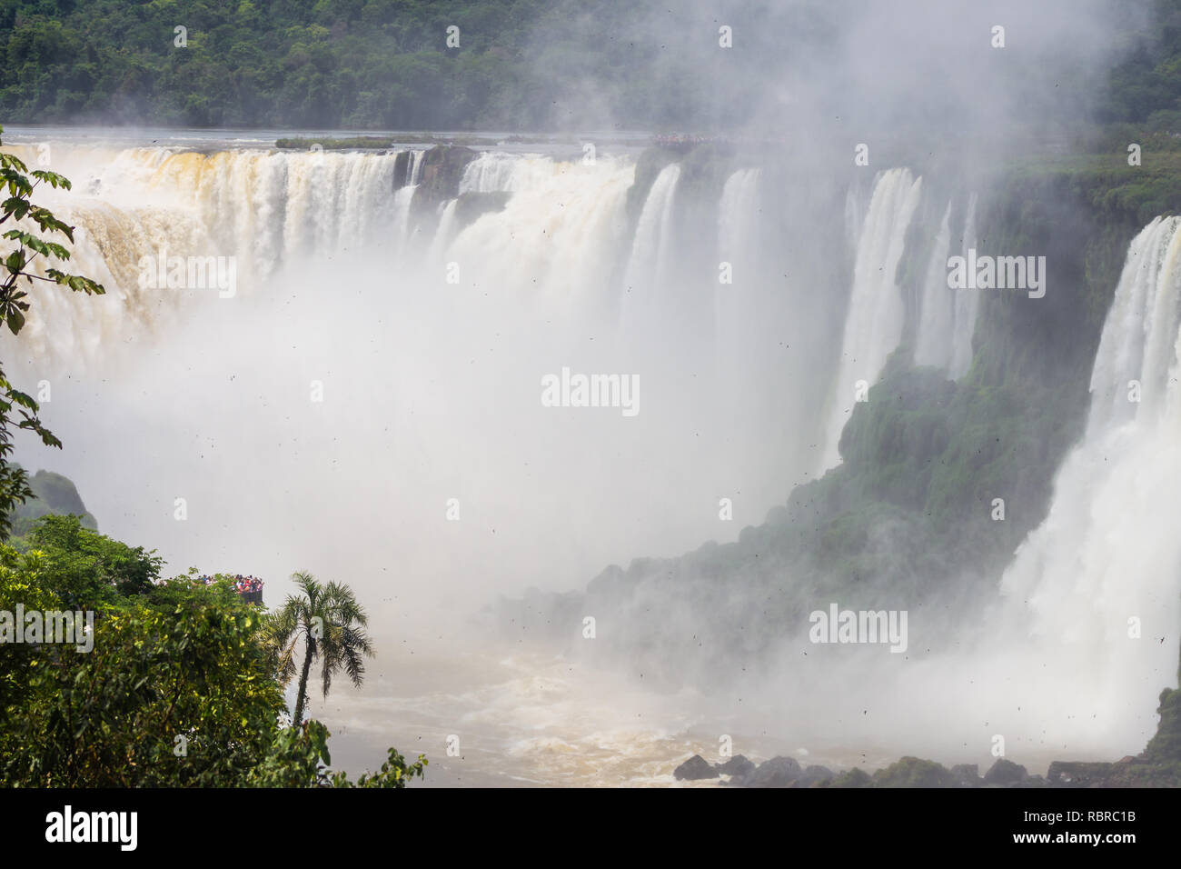 Die Iguazu Wasserfälle in Brasilien und Argentinien. Fluss Iguazu Stockfoto