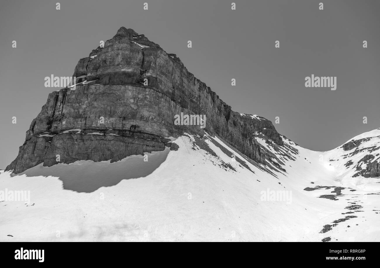 Mount Timpanogos im Frühjahr Stockfoto