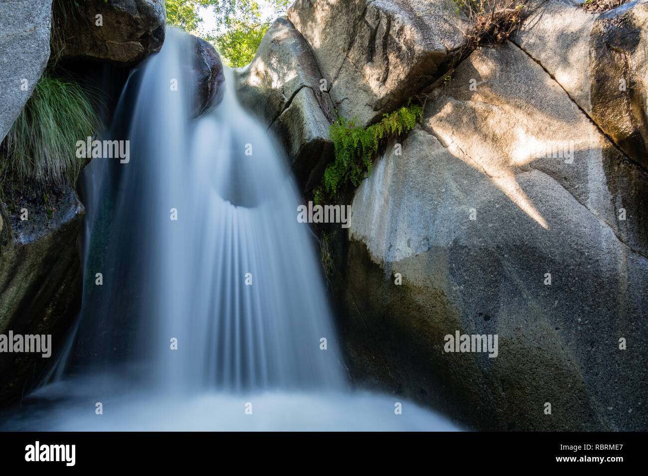 Monsunregen schwillt Madera Canyon fällt in der Santa Rita Mountains in der Nähe von Tucson, Arizona. Stockfoto