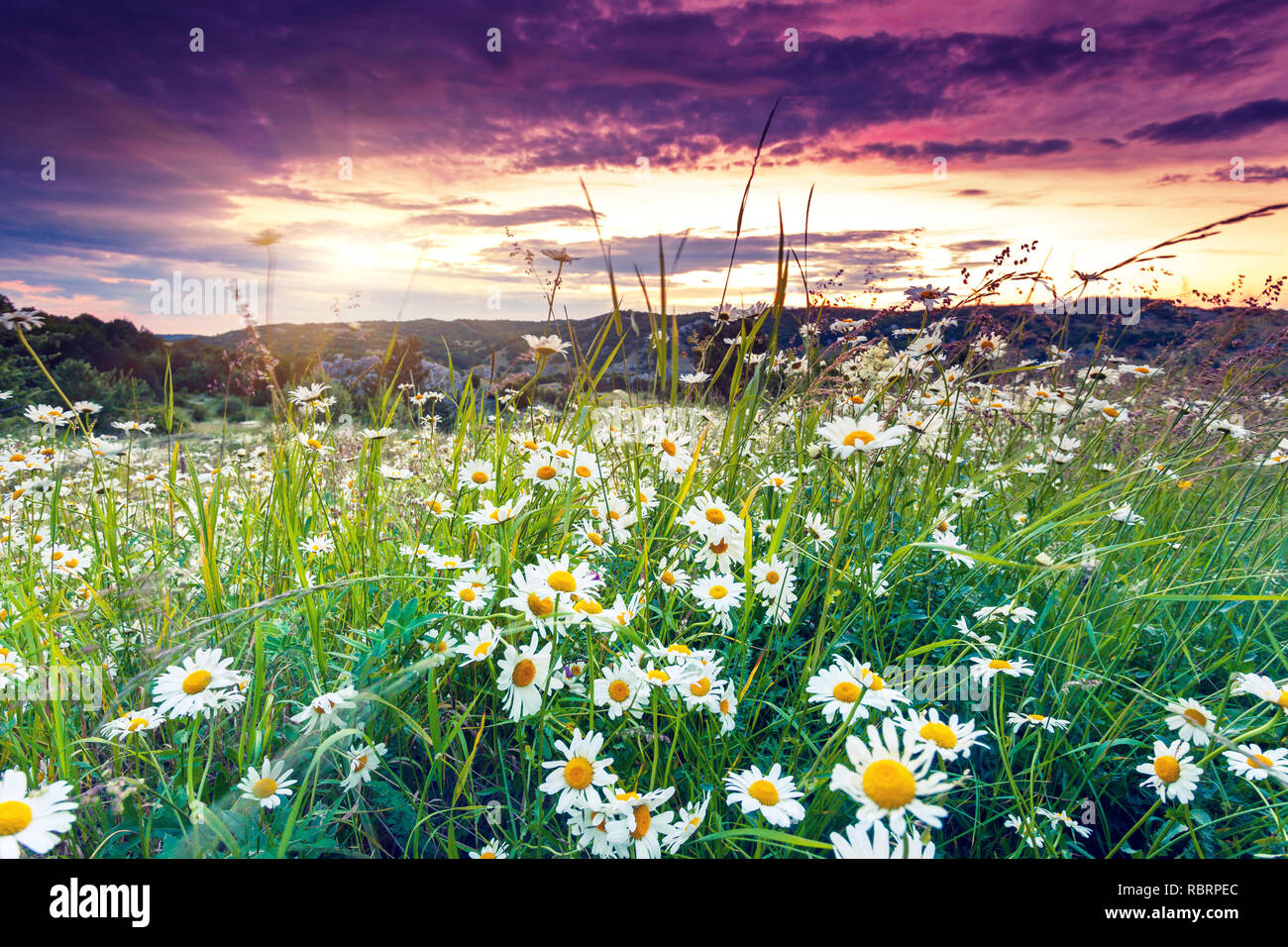 Sonnenuntergang in der majestätischen Bergwelt. Dramatische bewölkten Himmel. Krim, Ukraine, Europa. Beauty Welt. Stockfoto