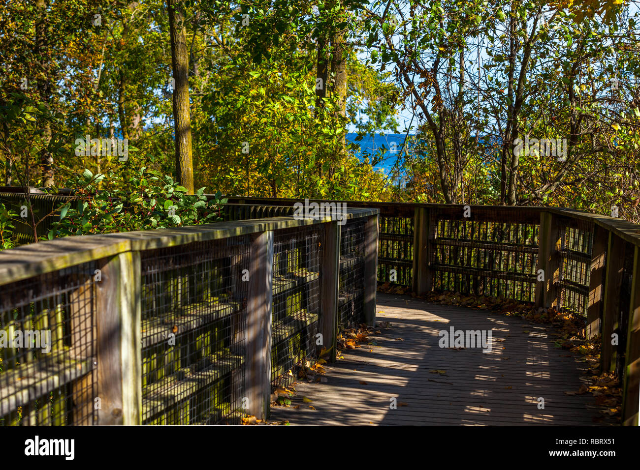 Hamilton, Kanada - Oktober 16, 2018: Bunte sonnige Herbst voller Farben im Park in der Nähe des Sees Stockfoto