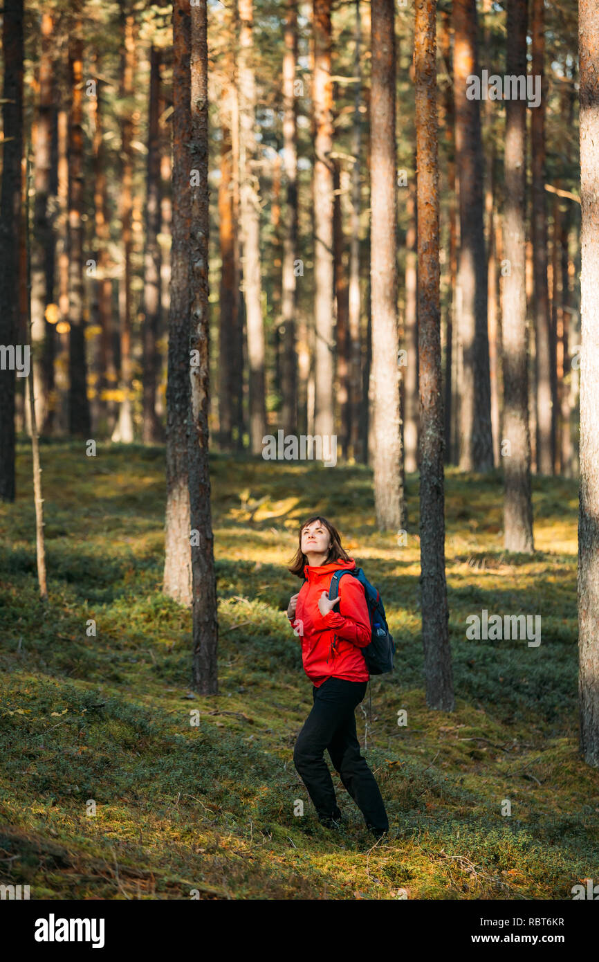 Aktive junge Erwachsene schön Kaukasische Mädchen Frau Gekleidet in rote Jacke Wandern im Herbst grünen Wald. Aktiver Lebensstil im Herbst Alter Natur bei Sun Stockfoto