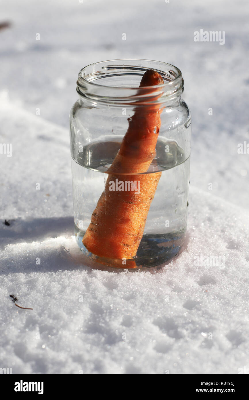 Schmelzender schneemann sonne Fotos und Bildmaterial in hoher