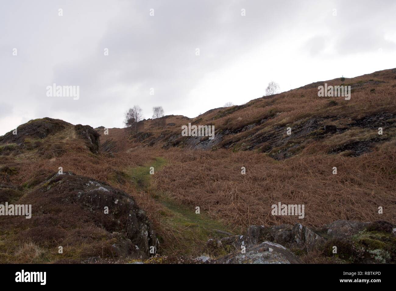 Kleines Tal in einem Moor typisch für den Norden von England und Schottland (englisch Lake District, Cumbria). Braun bracken und Heather mit einem kleinen Bach fl Stockfoto
