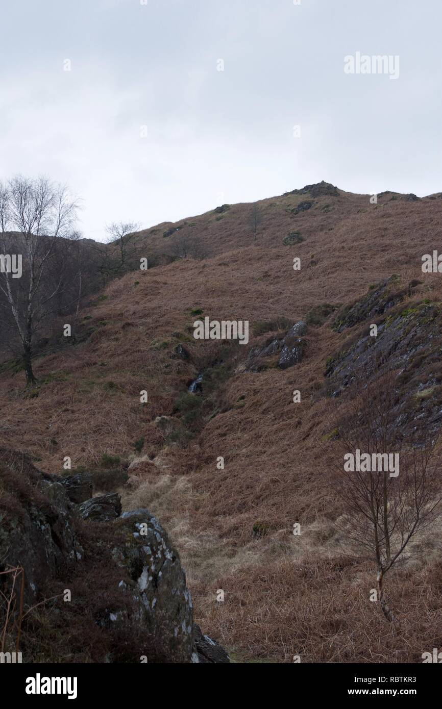 Kleines Tal in einem Moor typisch für den Norden von England und Schottland (englisch Lake District, Cumbria). Braun bracken und Heather mit einem kleinen Bach fl Stockfoto