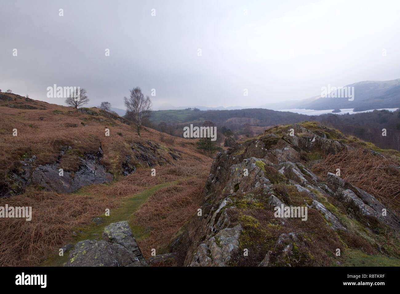 Ein Moor Tal im englischen Lake District (Cumbria): Heidekraut und Adlerfarn zwischen felsigen Klippen. Coniston Water See in der Ferne, mit Nebel auf t Stockfoto