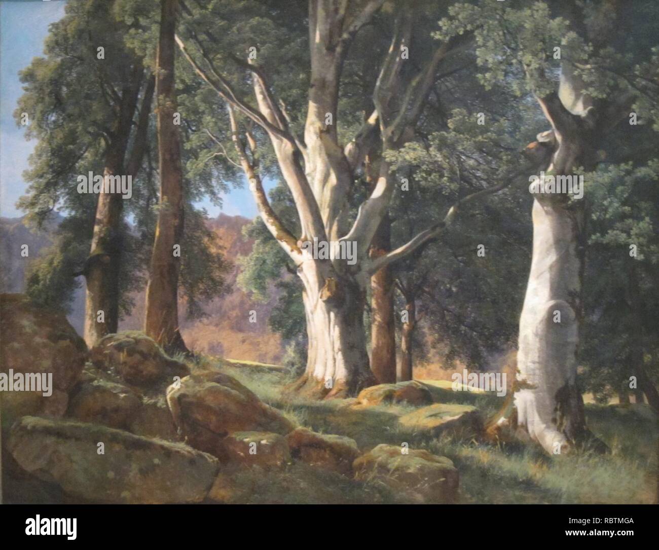 "Die Platanen" von Alexandre Calame, Cincinnati Art Museum. Stockfoto