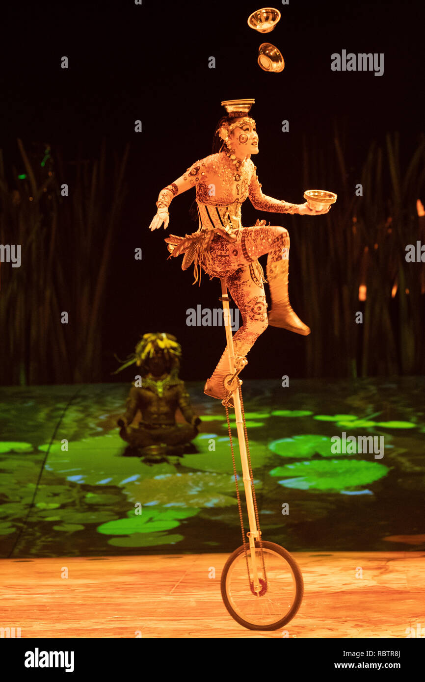 London, England. 11. Januar 201, werfen die Mitglieder des Cirque du Soleil in "Durchführen der Cirque du Soleil's Totem "Generalprobe in der Royal Albert Hall in London, England, © Jason Richardson/Alamy leben Nachrichten Stockfoto