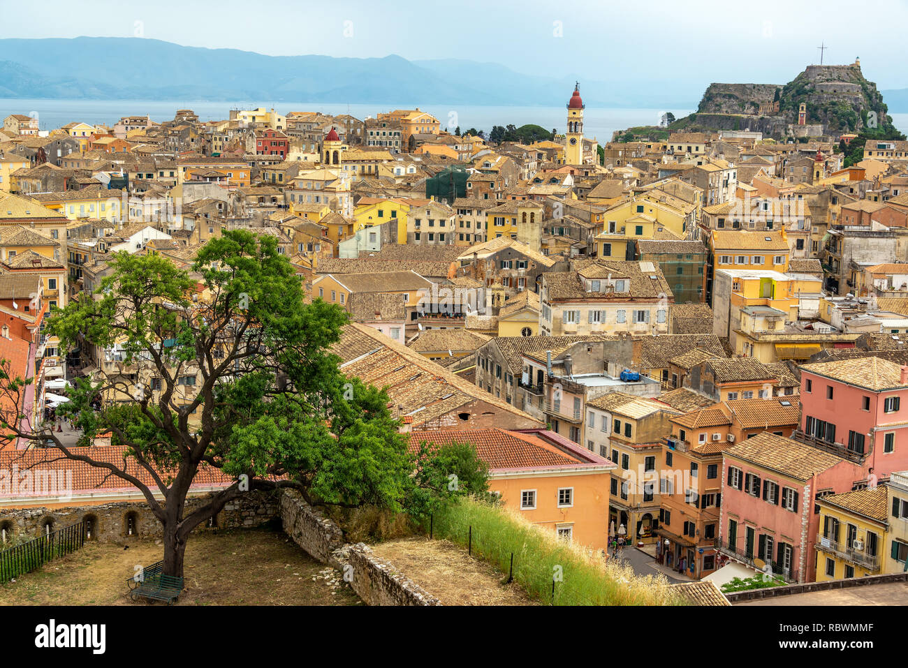 Baum mit einem stadtbild von Korfu, Griechenland und die alte Festung im Hintergrund Stockfoto
