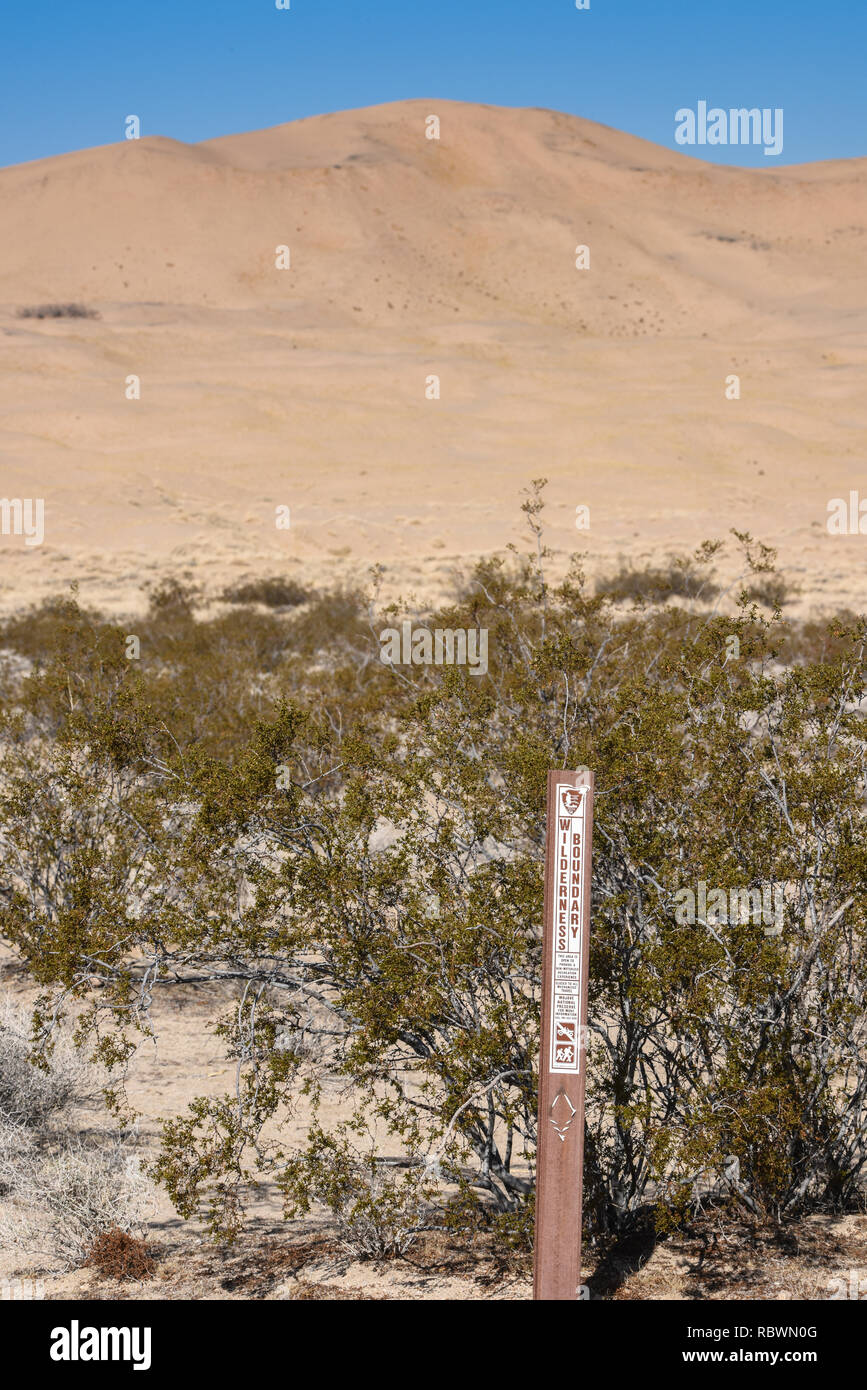 Kelso Sanddünen, Mojave National Reserve, Southern California Stockfoto