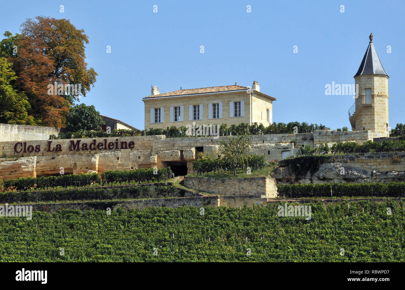 Clos La Madeleine, Saint-Emilion, Frankreich Stockfoto