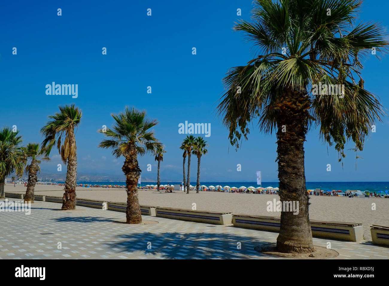 Blick von der Esplanade auf den belebten Strand. August-Wochenende. Playa San Juan, Alicante. Spanien Stockfoto