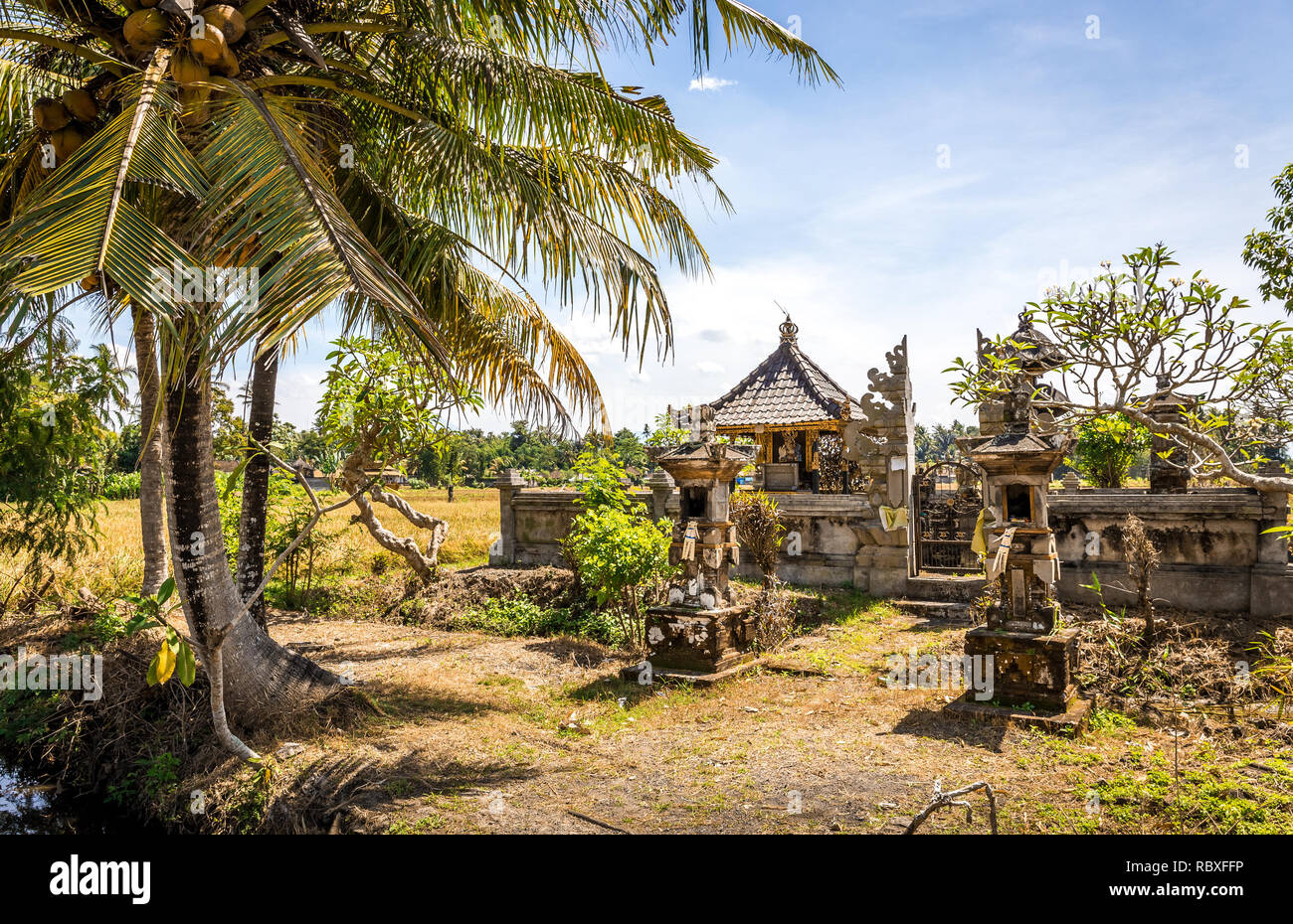 Balinesische Gefilde der Reisfelder und örtlichen Tempel, Indonesien Stockfoto