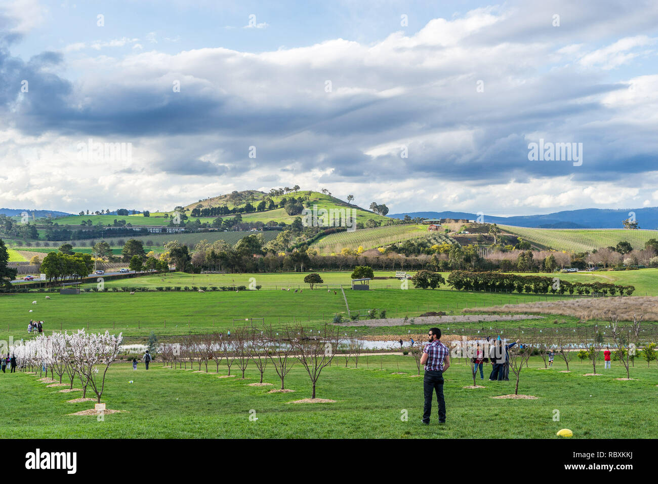 Yarra Valley, Victoria, Australien - Blick über die Weingüter Stockfoto
