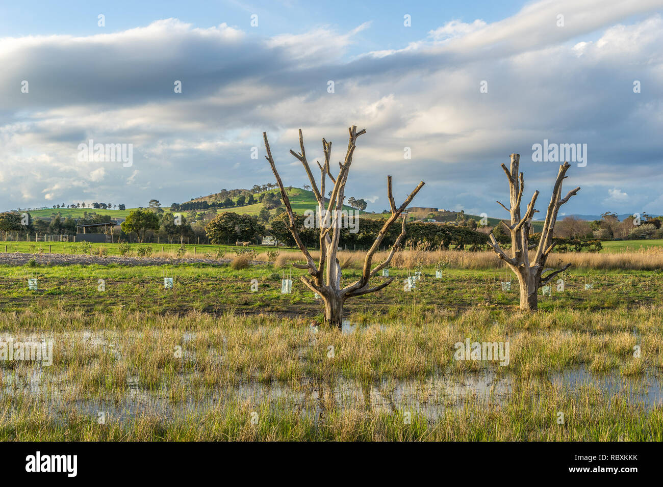 Malerische Lage in Yarra Valley, Victoria, Australien Stockfoto
