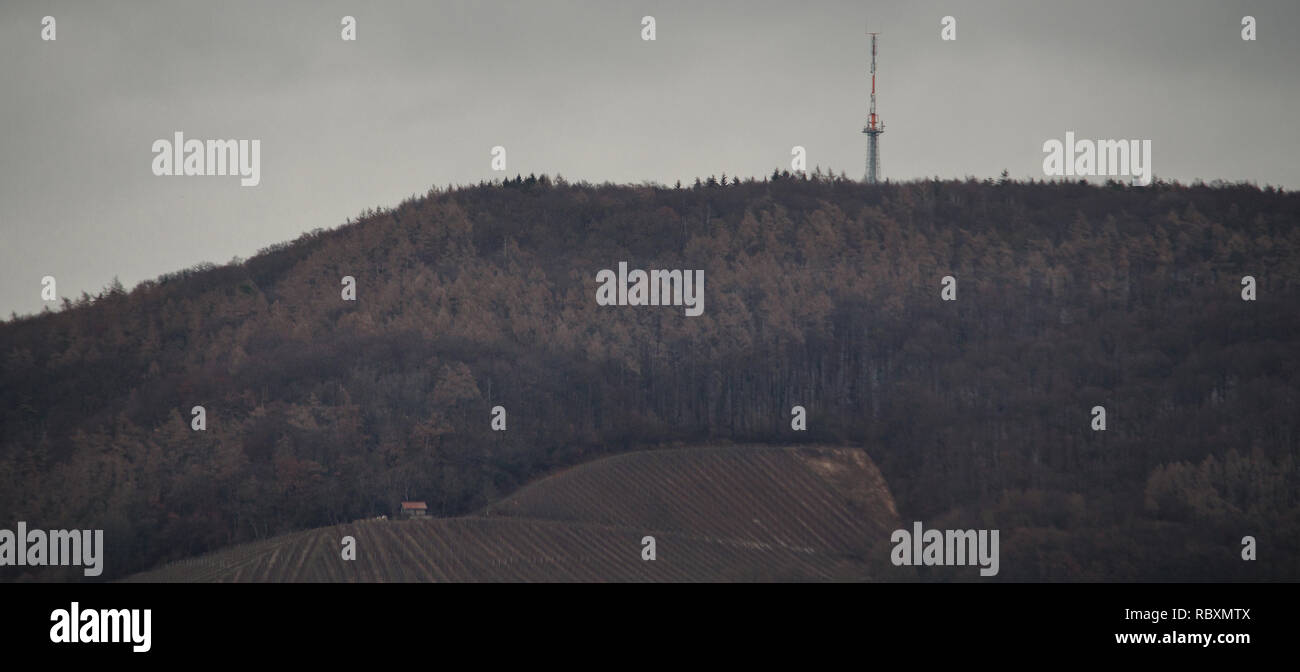 Kommunikation Tower hinter Wald Stockfoto