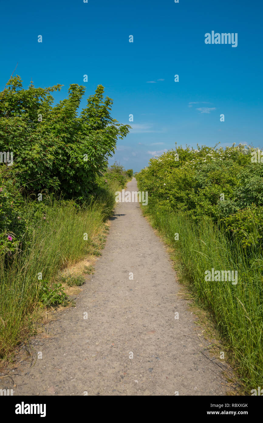 Strand Weg durch die Dünen in Mecklenburg-Vorpommern Stockfoto