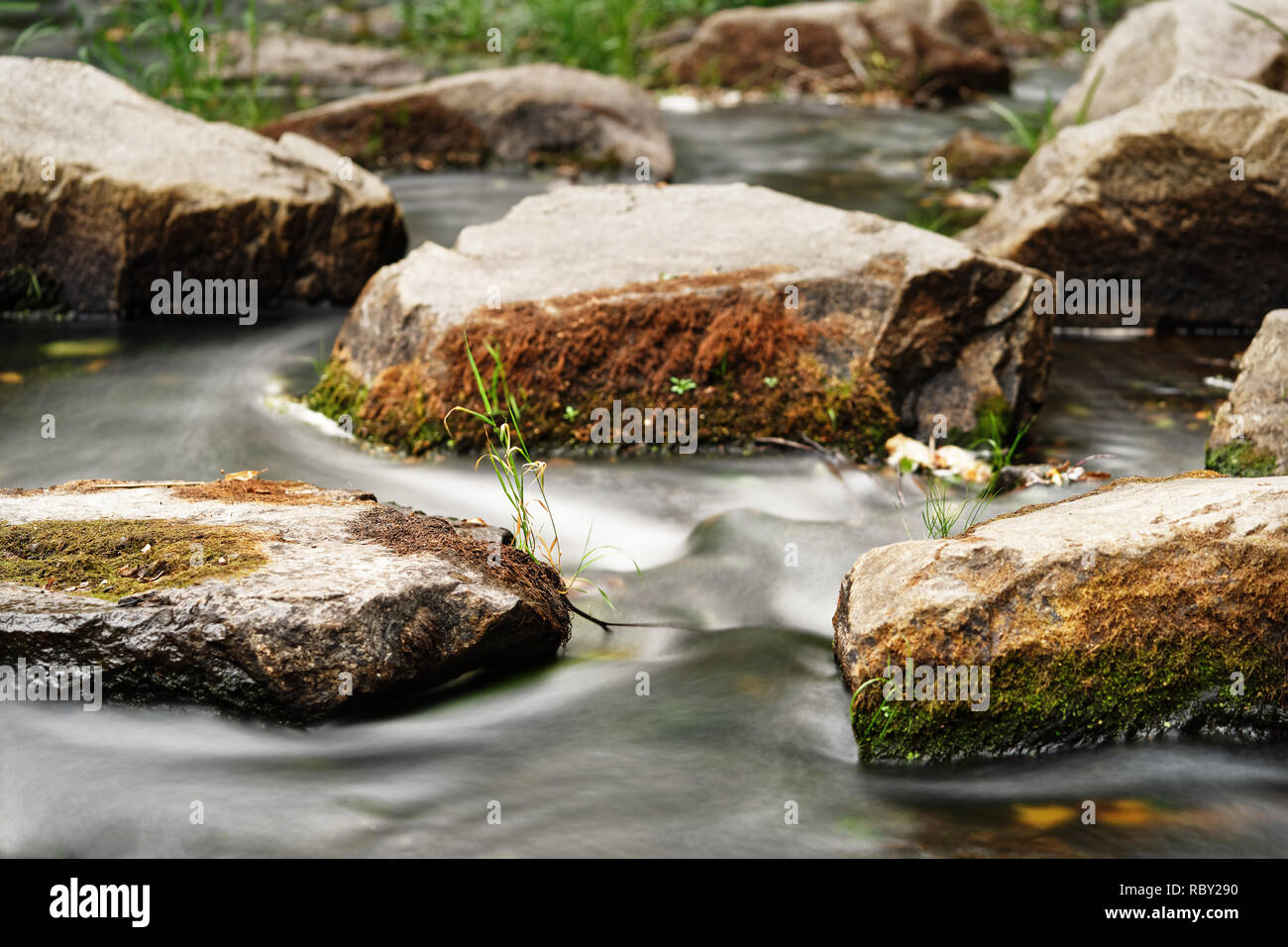 Detailansicht des fließenden Wasser eines kleinen Flusses, das Wasser fließt, Steine mit Moos und einzelne Büschel Gras bedeckt, schmale schärfen Zone, flowi Stockfoto