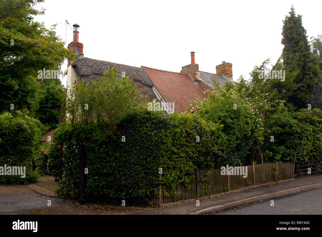 Terrasse von drei Hütten, mit verschiedenen Dach Stilen, mit verwilderten Hecken vor Sperrung in oder out, Flitton, Bedfordshire Stockfoto