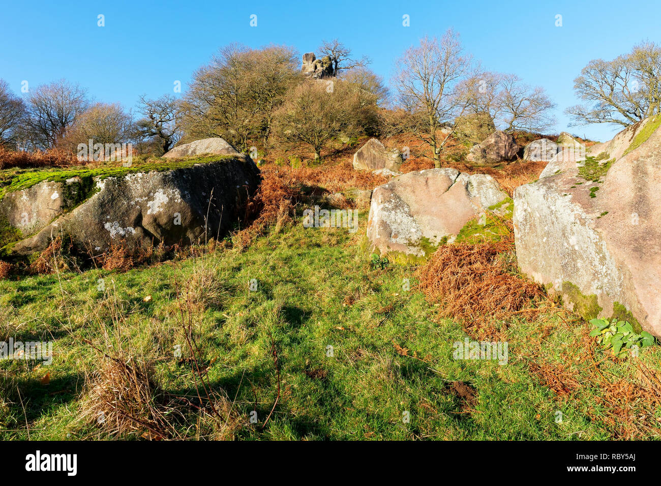 Bäume und gefallenen Felsen lagen um die Derbyshire Felsformation namens Robin Hoods Stride. Stockfoto