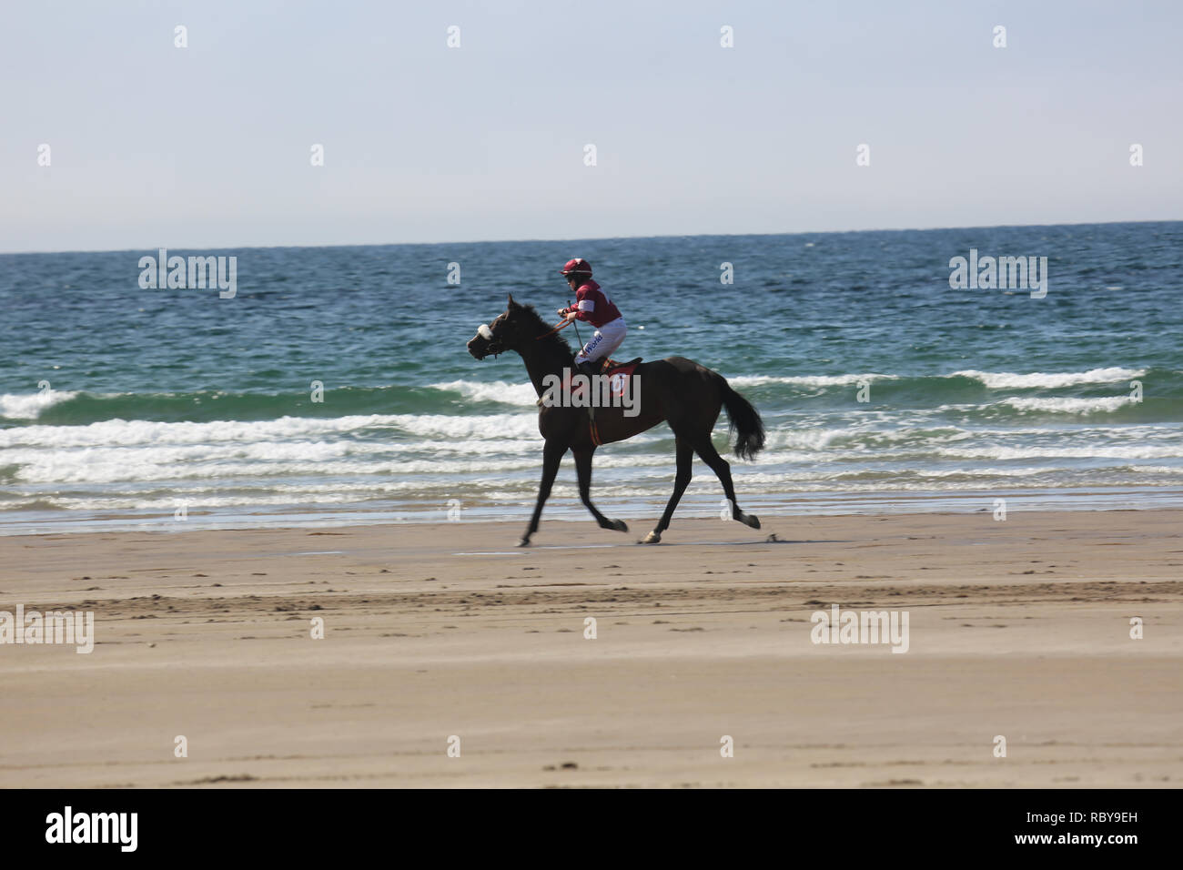 Jährliche Pferderennen Strand, rossbeigh, wilden Atlantik, County Kerry, Irland Stockfoto