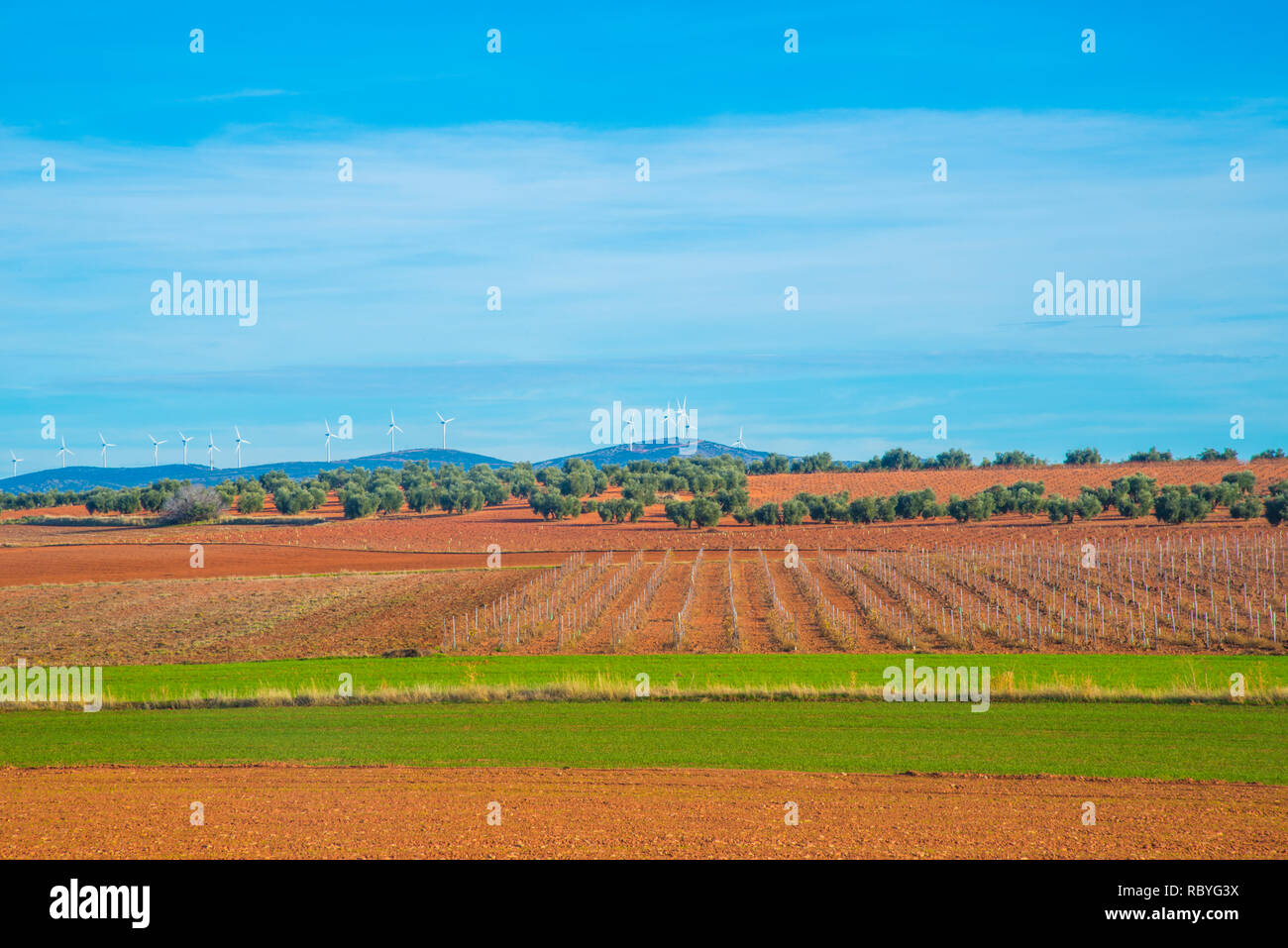Anbau Felder. La Mancha, Spanien. Stockfoto