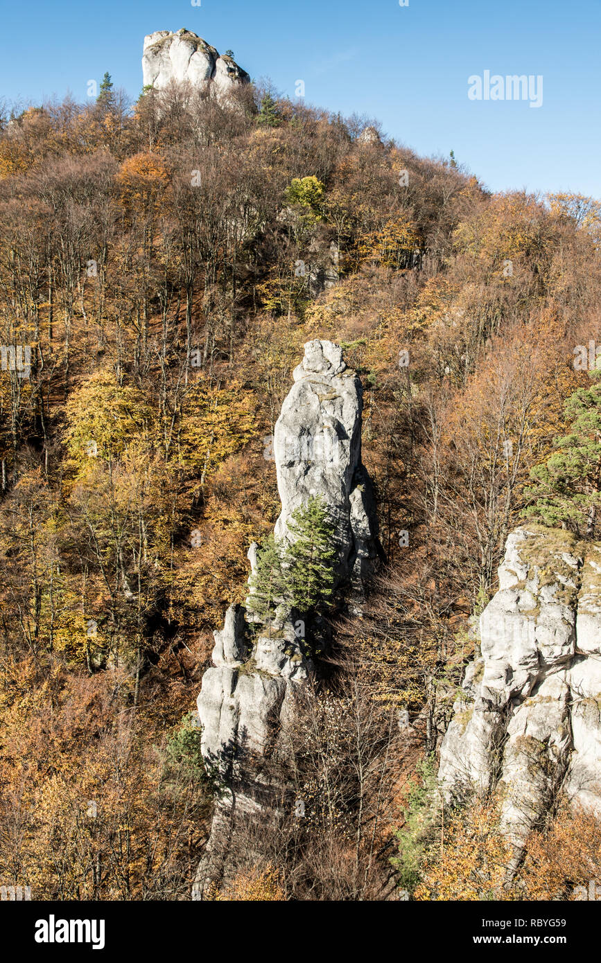 Herbst Sulovske skaly Berge von vyhliadka Opasana View Point in der Slowakei mit bunten Wald, Felsen und klaren Himmel snadstone Stockfoto
