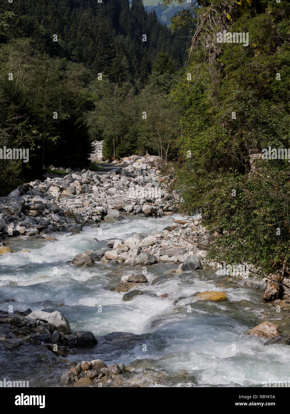 Down Stream Creek Stockfoto