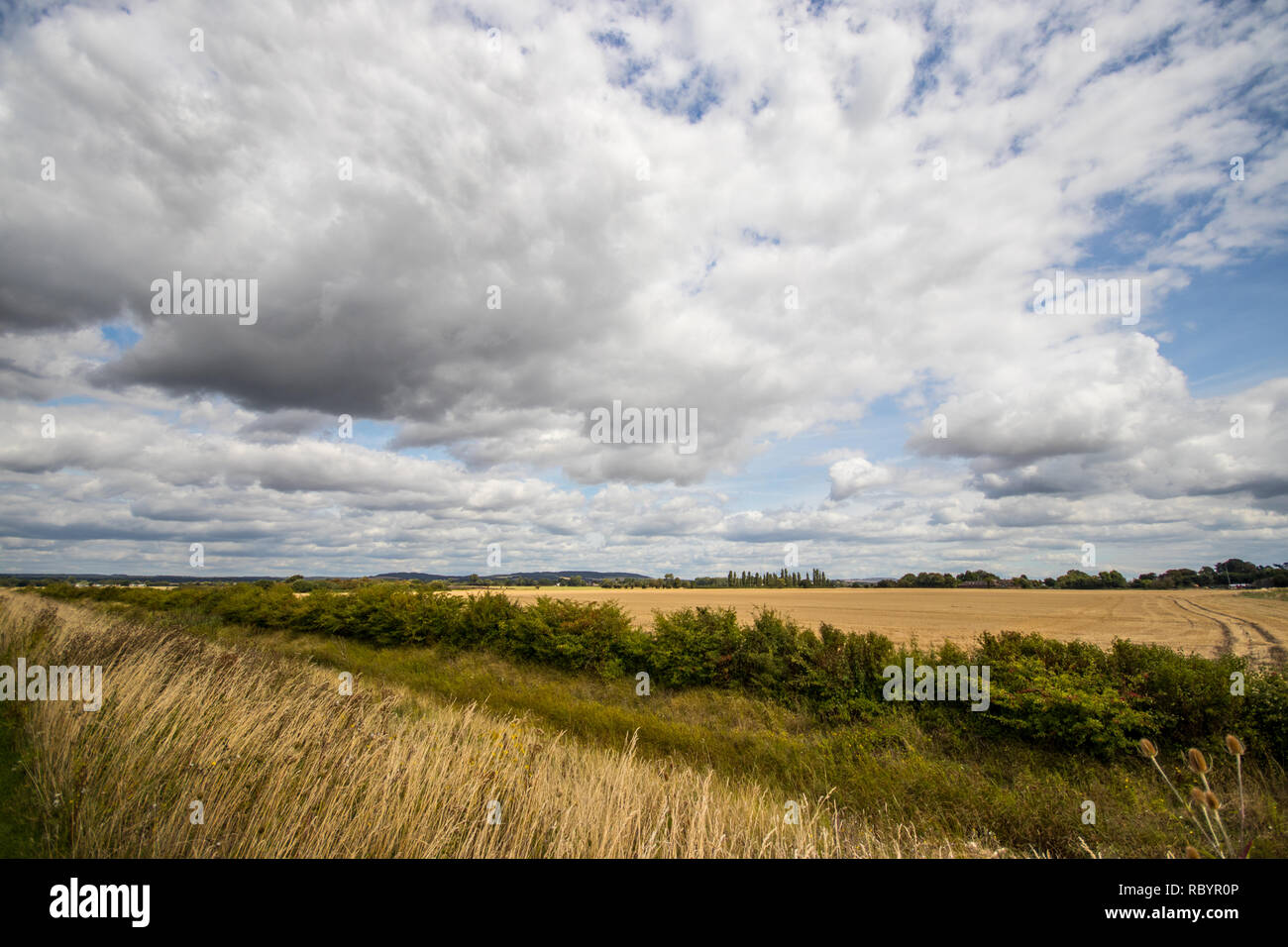 Chidham, Chichester Harbour, West Sussex, Großbritannien Stockfoto