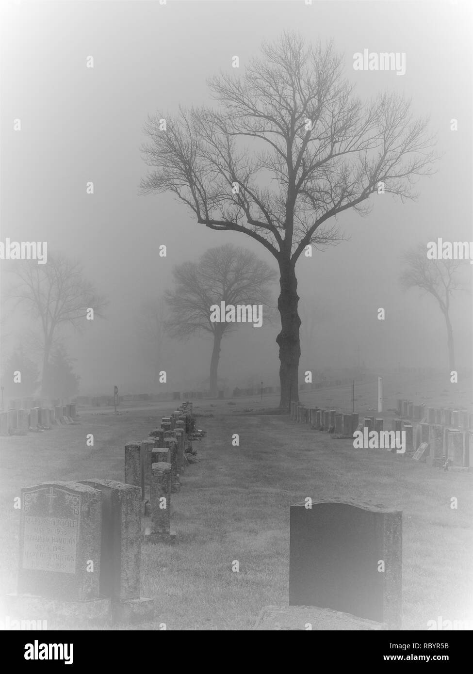 Maria Rest Friedhof Mahwah, New Jersey in einer düsteren Nebel Szene. Stockfoto