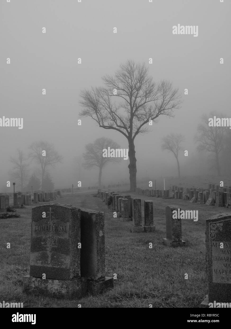 Maria Rest Friedhof Mahwah, New Jersey in einer düsteren Nebel Szene. Stockfoto