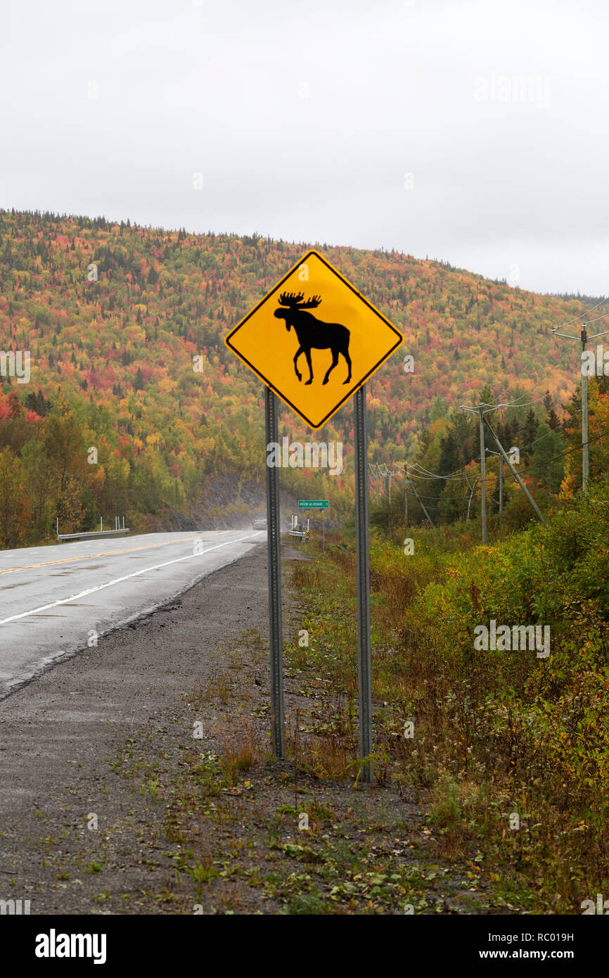Ein Verkehrsschild warnt der Anwesenheit von Elch auf der Gaspé Peninsual von Quebec, Kanada, bewusst zu sein. Stockfoto
