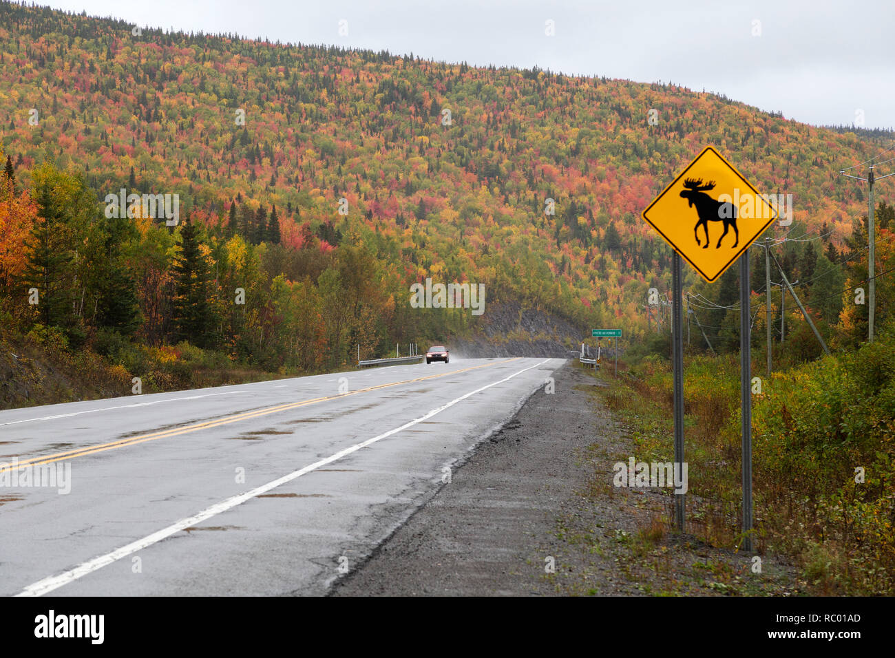 Ein Verkehrsschild warnt der Anwesenheit von Elch auf der Gaspé Peninsual von Quebec, Kanada, bewusst zu sein. Stockfoto