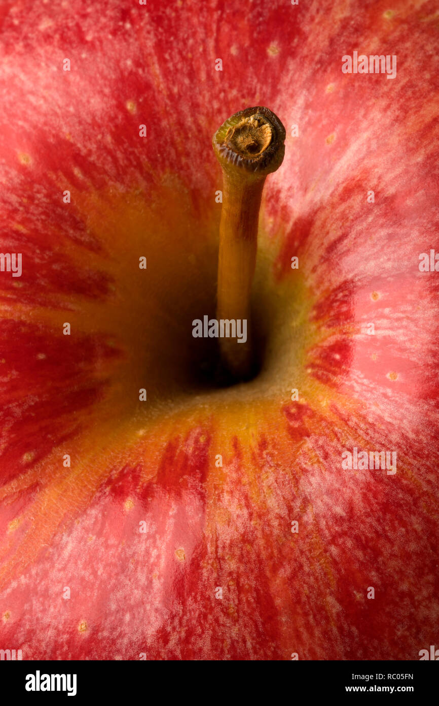 Apple Stiel aus einem roten Apfel Nahaufnahme Stockfoto