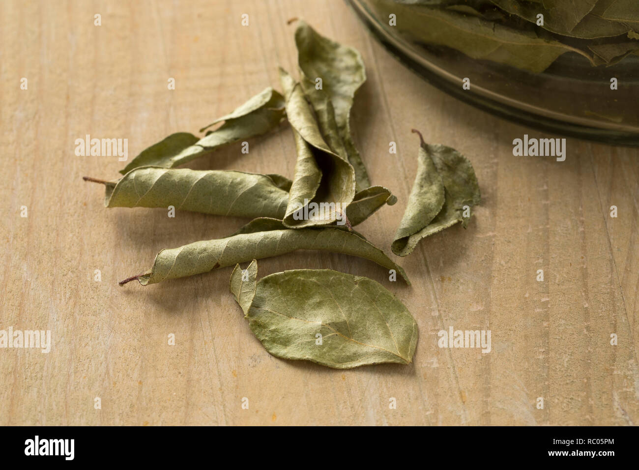 Getrocknete aromatische Curryblätter Nahaufnahme Stockfoto