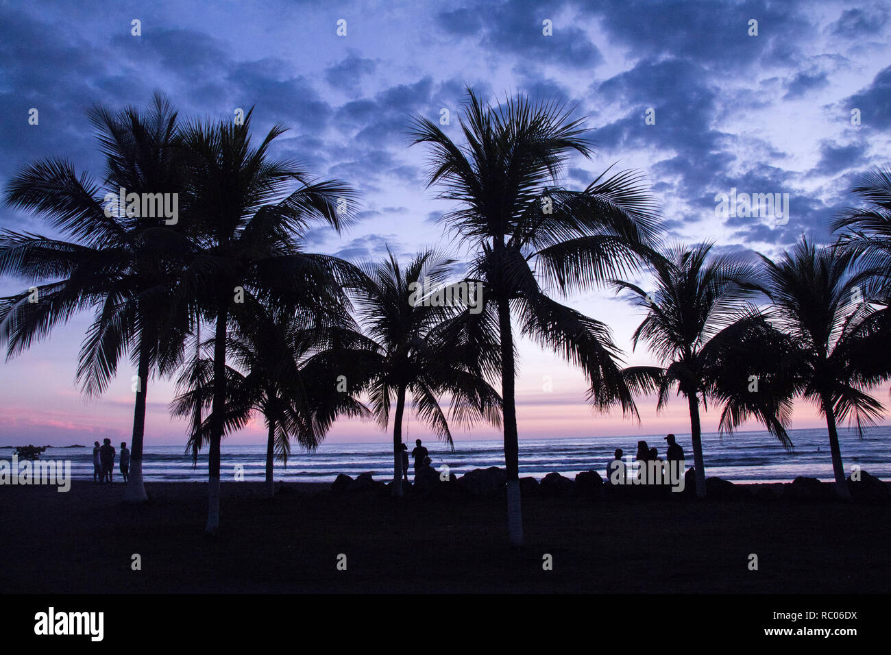 Ein Foto einer erstaunlichen Sonnenuntergang in Jaco Beach, Costa Rica. Silhouetten der schönen hohen Palmen im Vordergrund. Menschen sind nicht erkennbar. Stockfoto