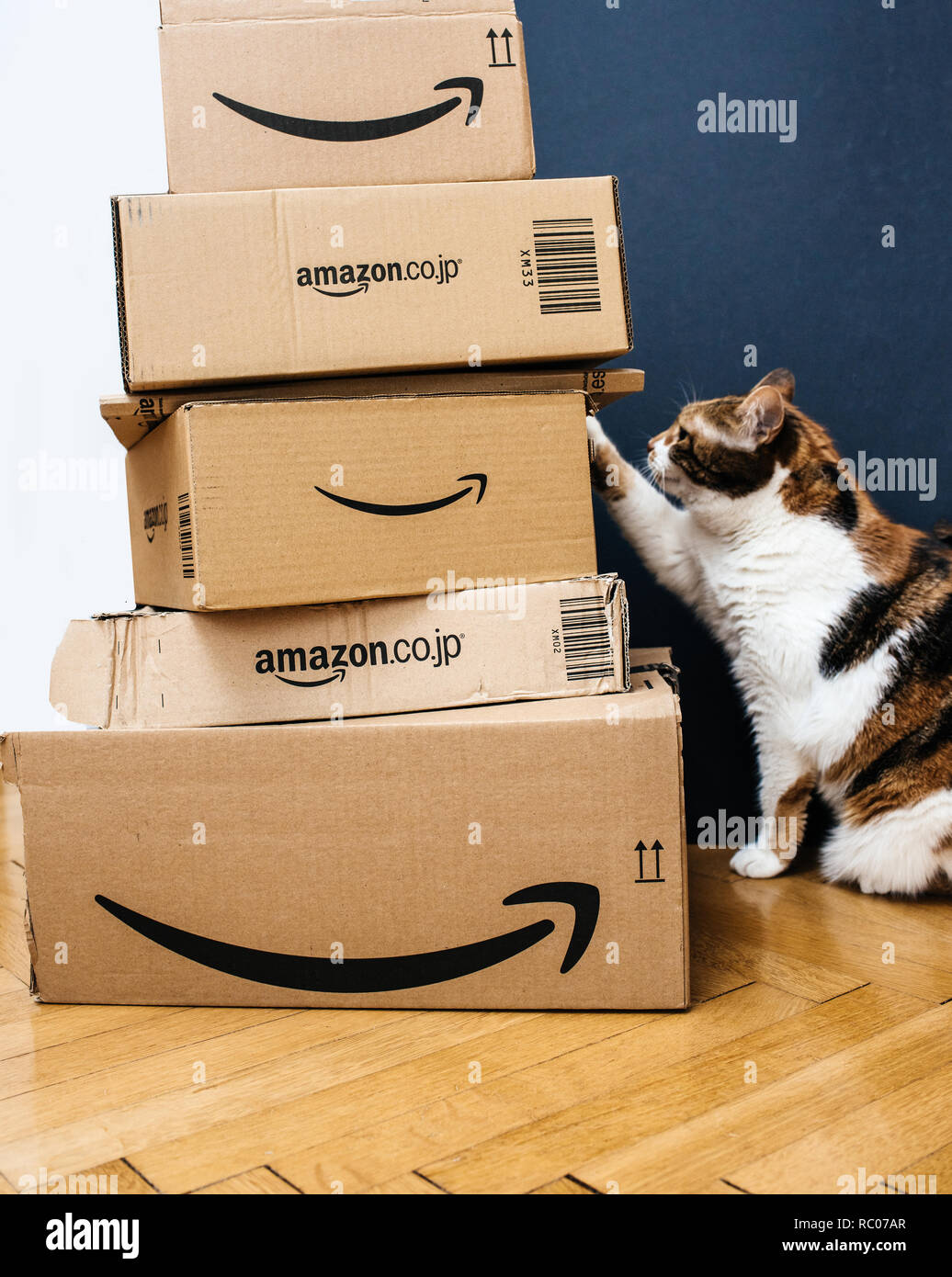 PARIS, Frankreich, 15.Februar 2018: neugierige Katze Prüfung mehrere Amazon  Prime Japan Kisten per Kurier angeliefert und durch die Tür durch Lieferung  Kurier links Stockfotografie - Alamy