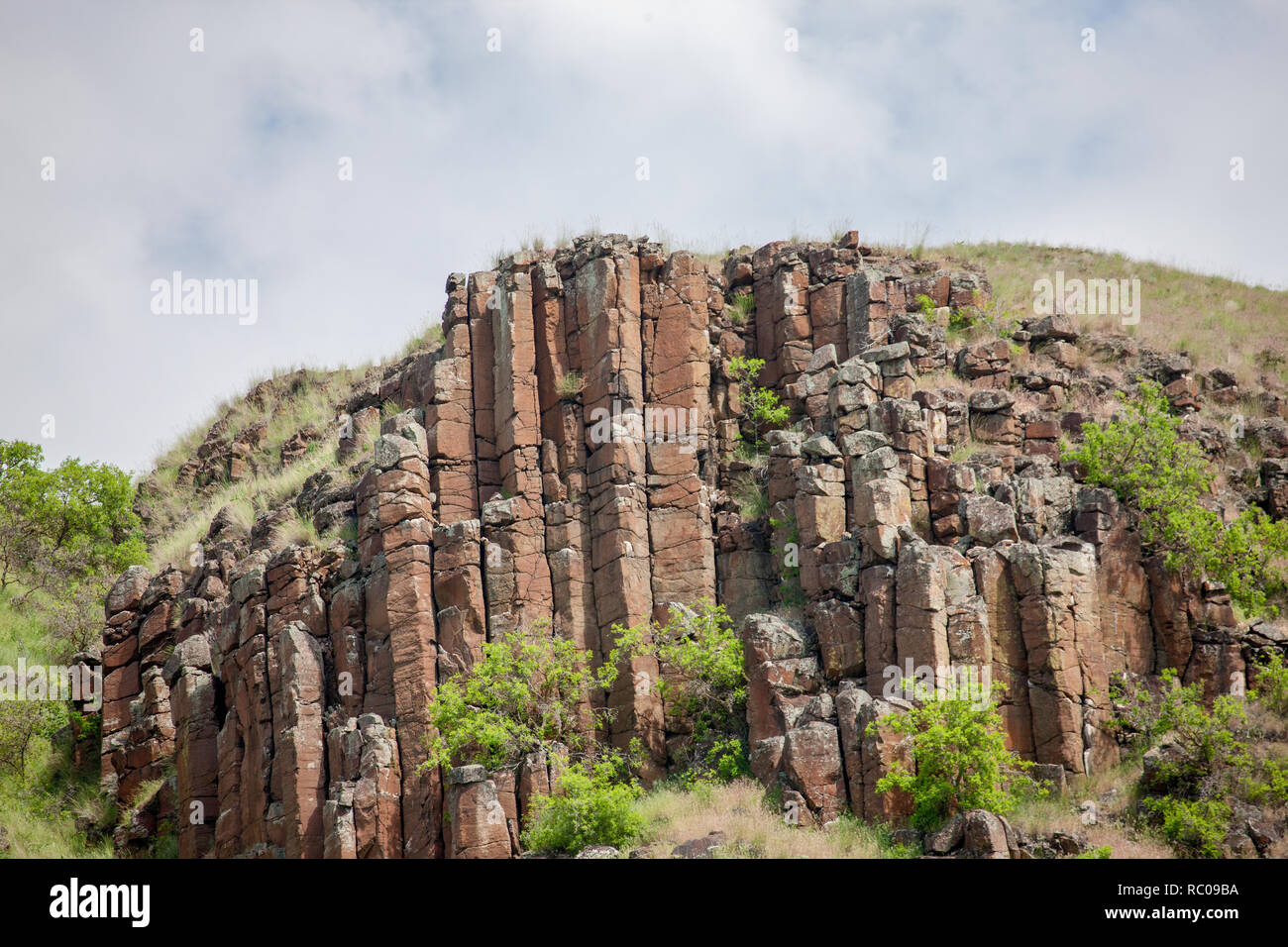 Rhyolit ist ein magmatisches Gestein. Die Strukturen werden als columnar Verfugung bezeichnet. Von Snake River in Hells Canyon National Recreation Area gesehen Stockfoto