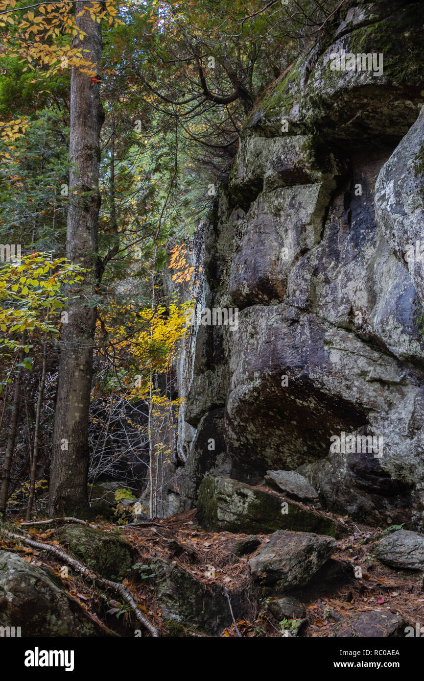 Riesige Gletscherfelsen und Herbstlaub auf dem Algonquin Park Trail Stockfoto