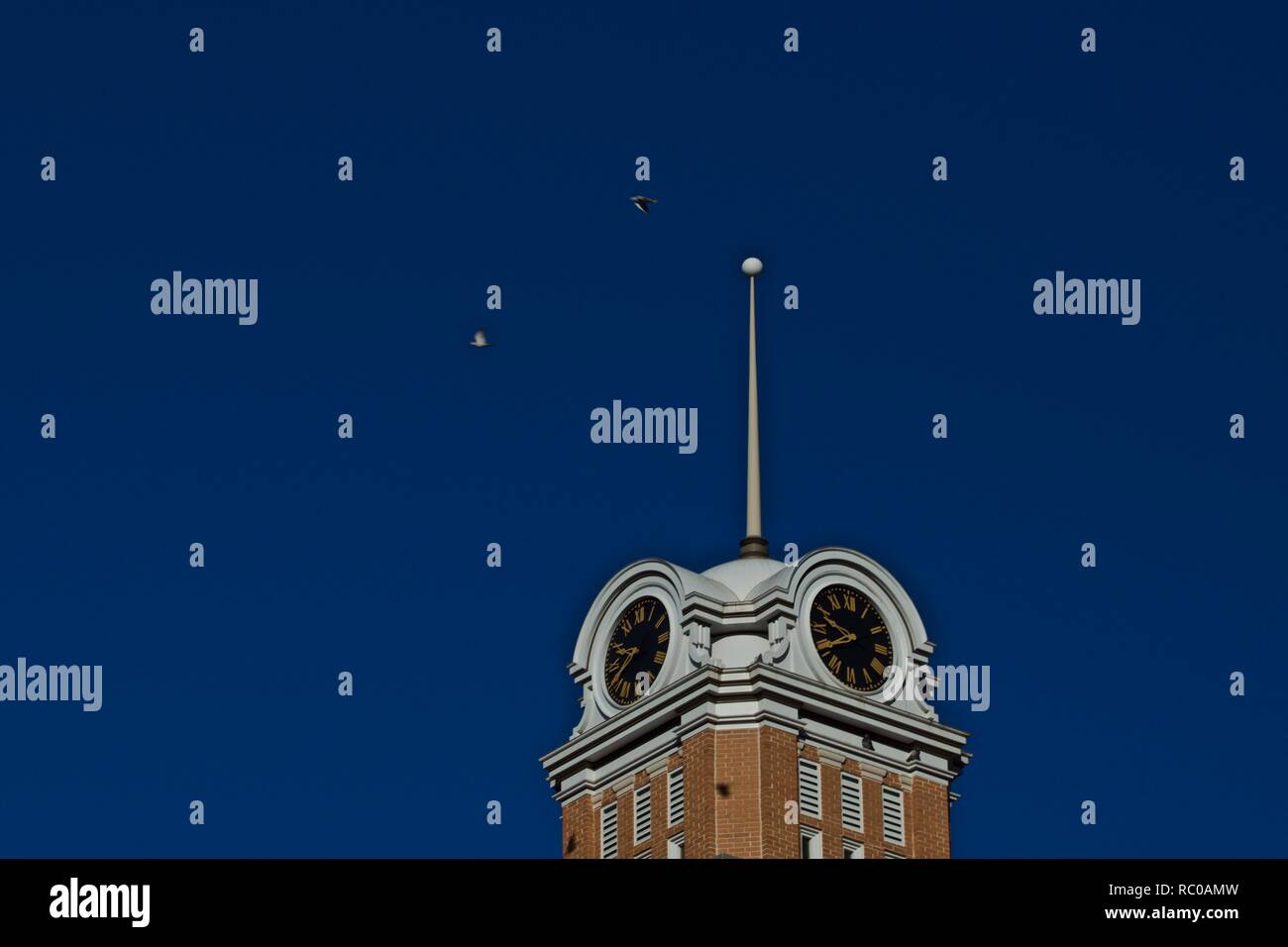 Tauben und ihre Schatten über dem historischen Randall County, Texas Court House Clock Tower, Canyon, Texas. Stockfoto