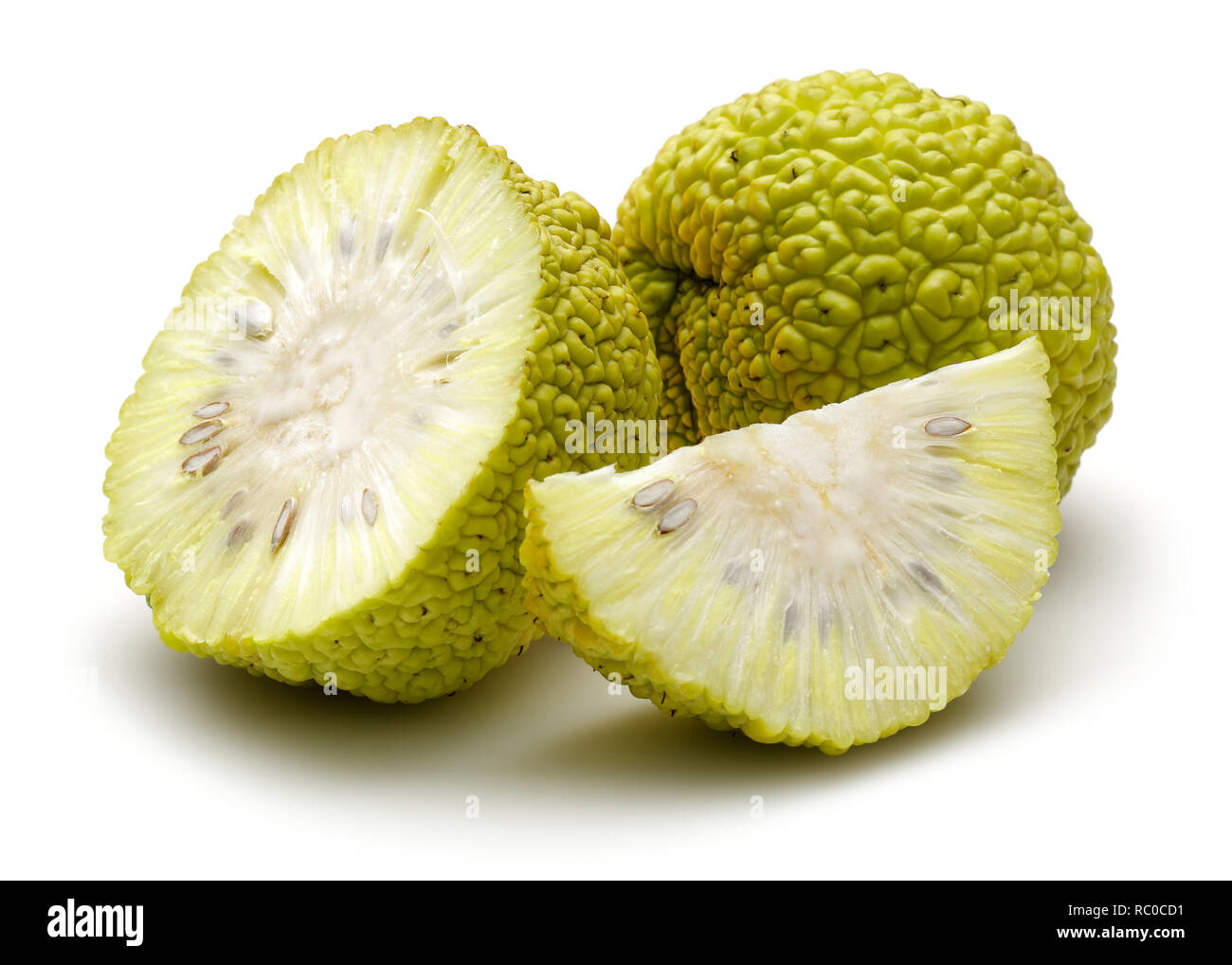 In Scheiben geschnitten Osage Orangen oder Maclura auf weißem Hintergrund Stockfoto