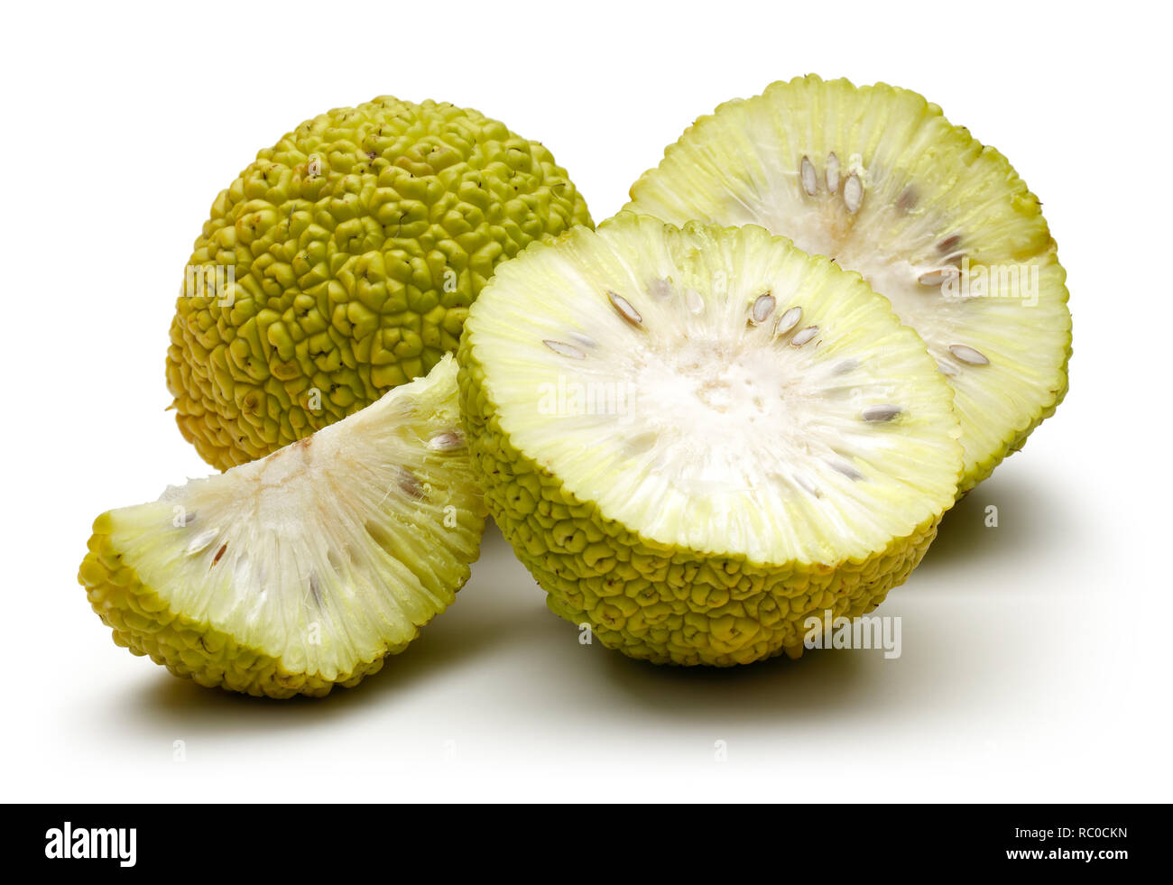 In Scheiben geschnitten Osage Orangen oder Maclura auf weißem Hintergrund Stockfoto