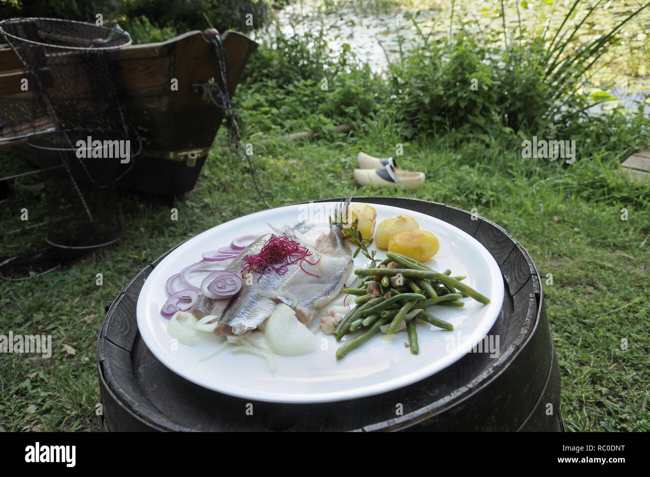 Junger Matjes mit grünen Bohnen, Zwiebeln und Salzkartoffeln junge