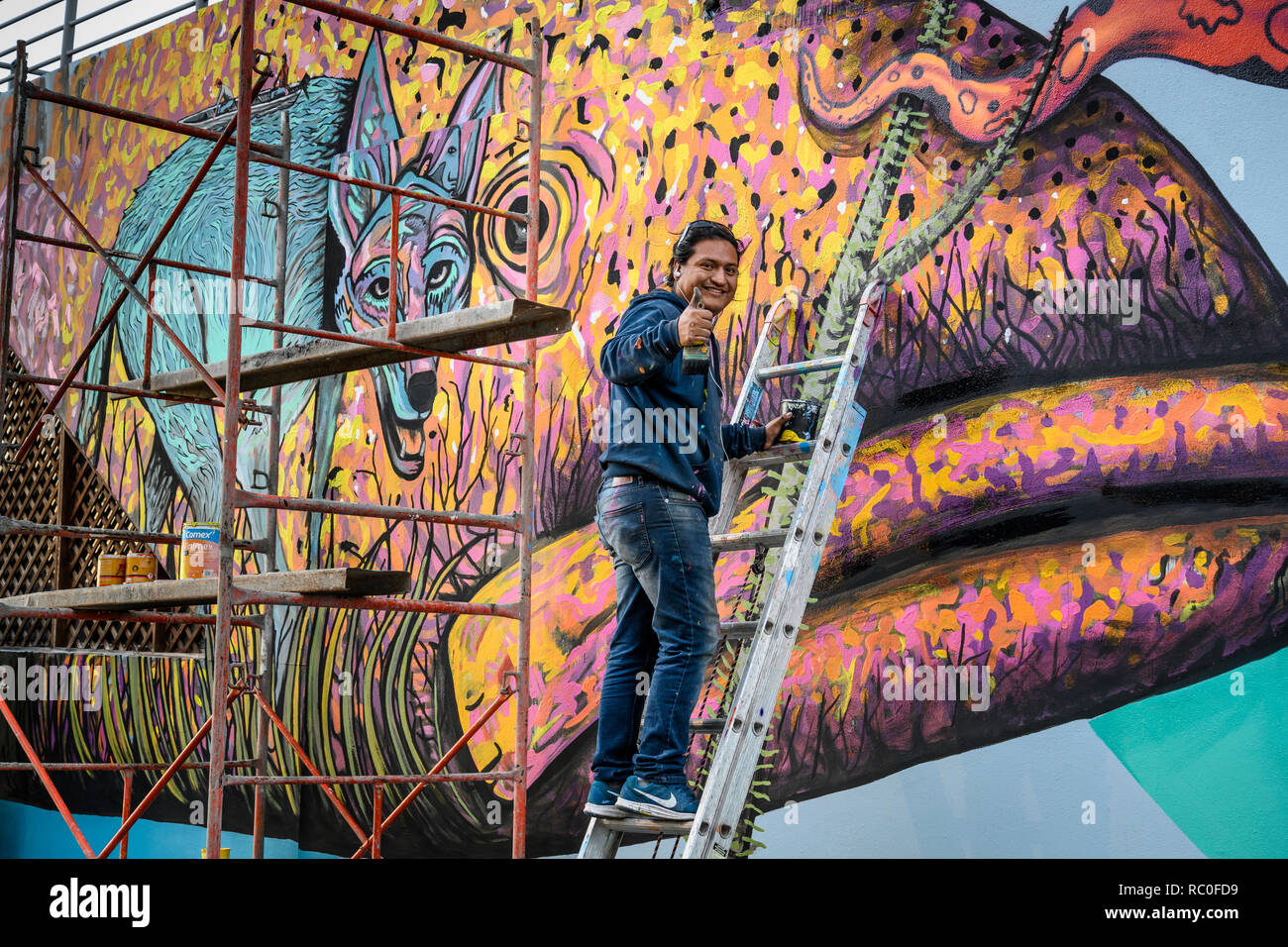 Künstler Uli Martinez arbeitet an einem neuen Wandbild in der Calle Constitución in La Paz, Baja California Sur, Mexiko. Stockfoto