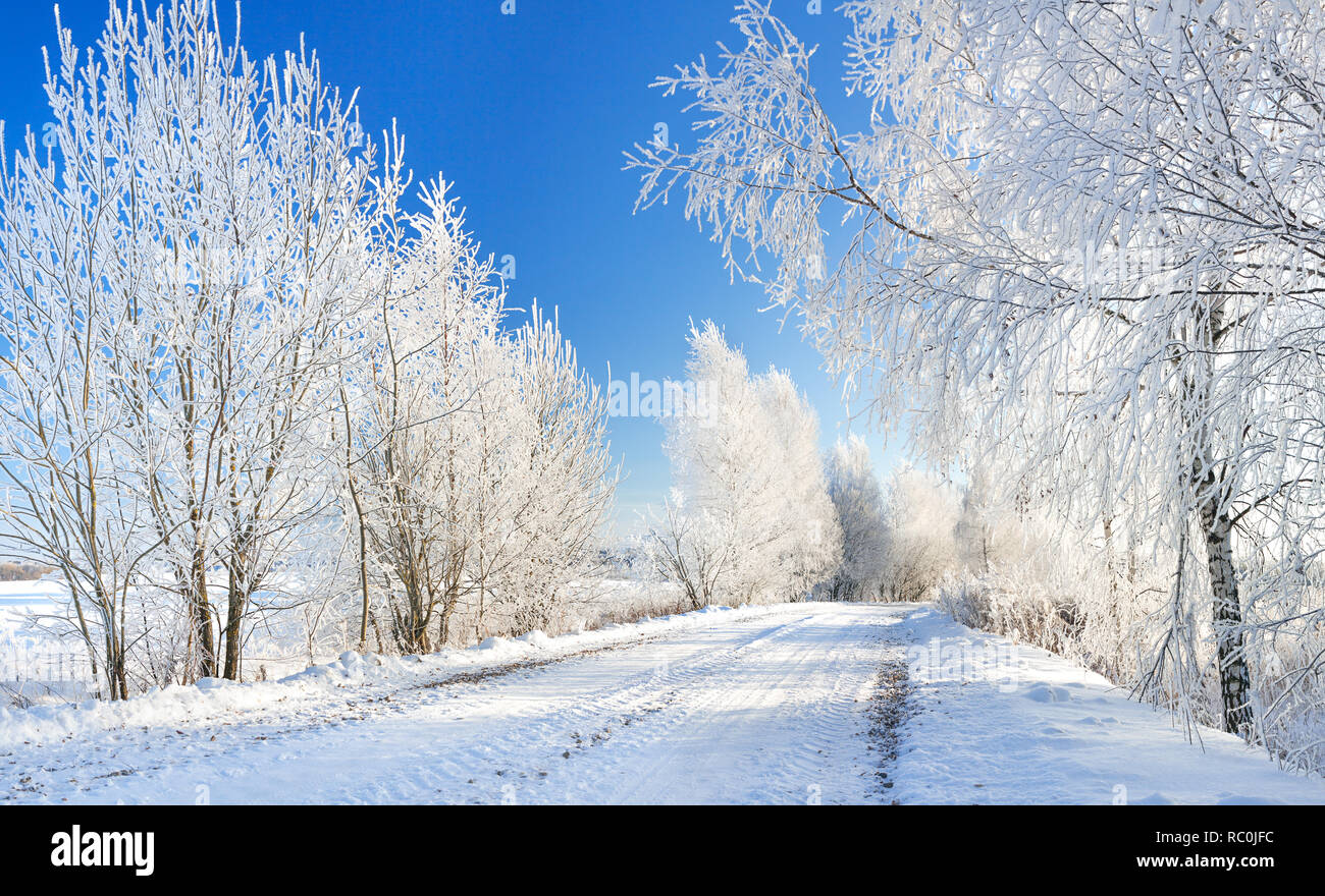 Schönen Winter Landschaft mit Wald und auf der Straße. verschneite Landschaft Stockfoto
