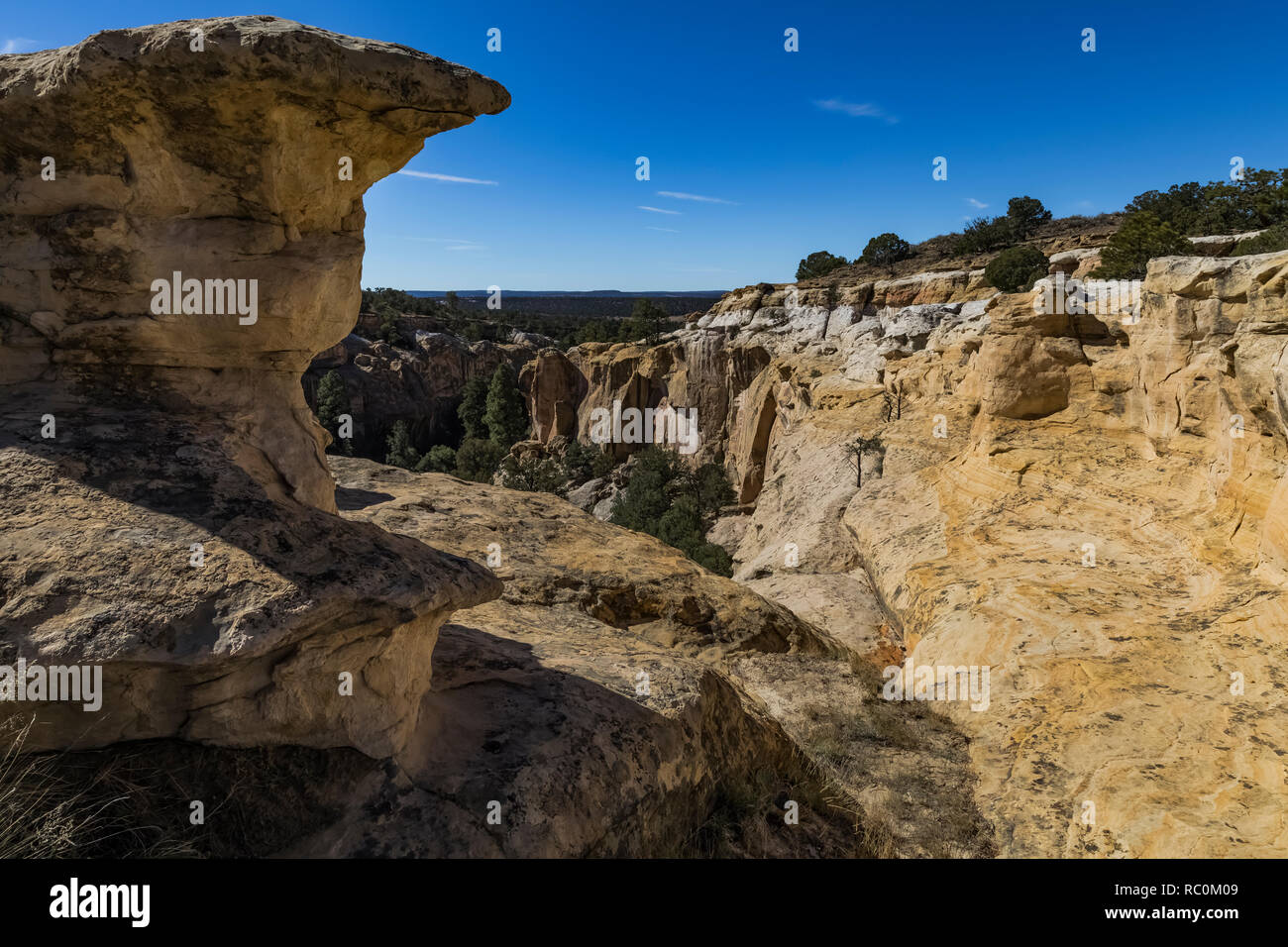 Box Canyon gesehen von oben auf den Strand entlang der Mesa Top Trails in El Morro National Monument, New Mexico, USA Stockfoto